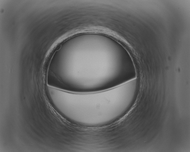 X0000087541506200704270911