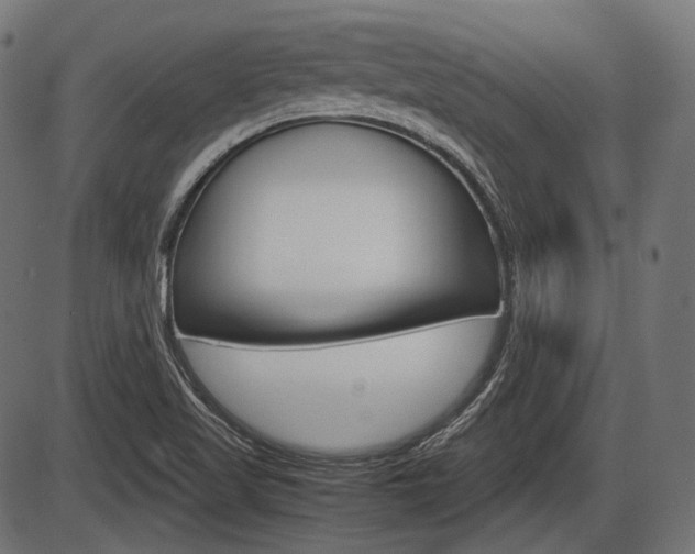 X0000087541509200704270911