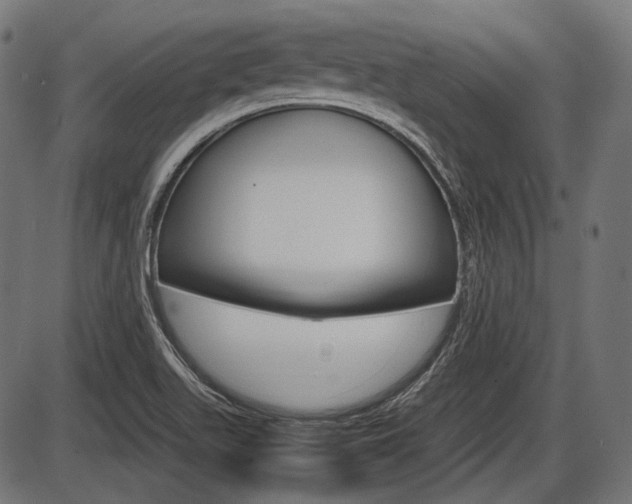 X0000087541511200704270911