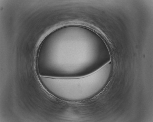 X0000087541512200704270911
