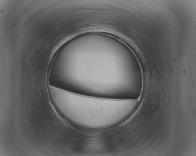 X0000087541513200704270911