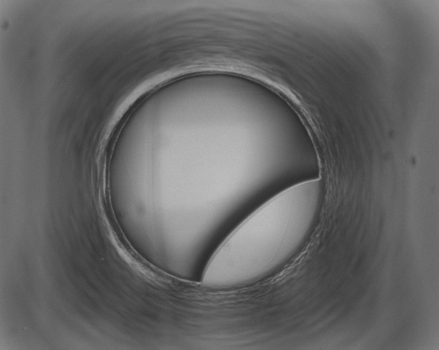 X0000087541515200704270911