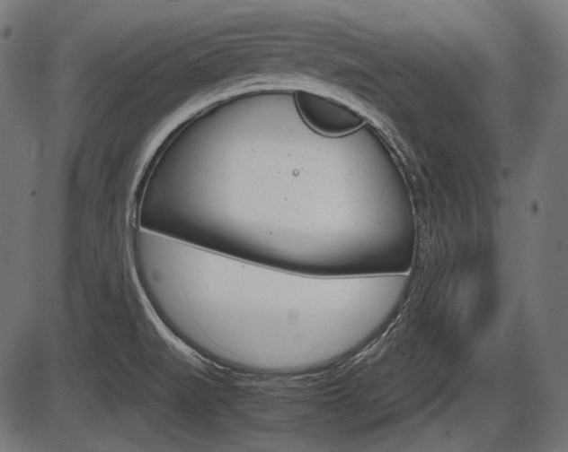 X0000087541519200704270911