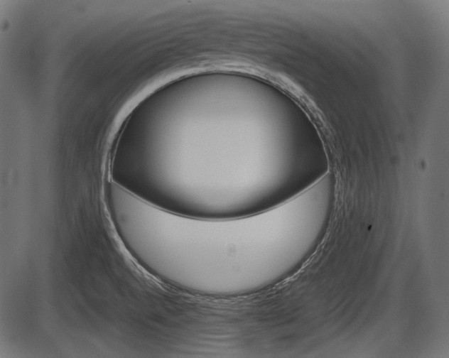 X0000087541520200704270911