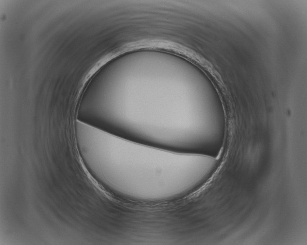 X0000087541521200704270911