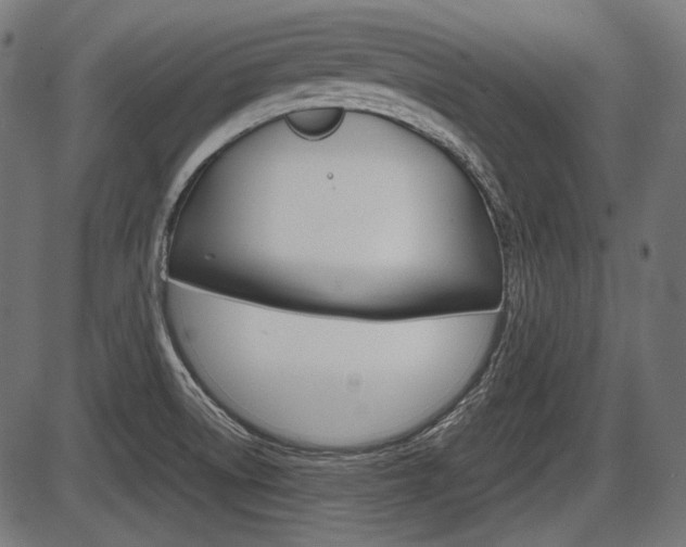 X0000087541522200704270911