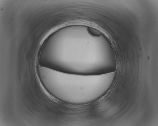 X0000087541523200704270911
