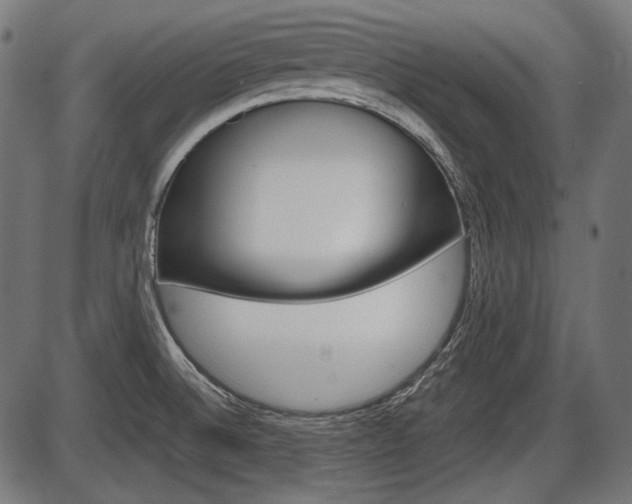 X0000087541524200704270911