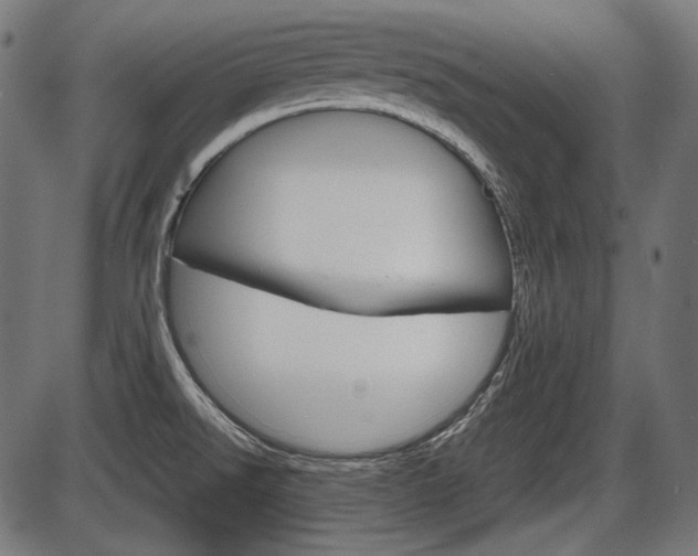 X0000087541526200704270911