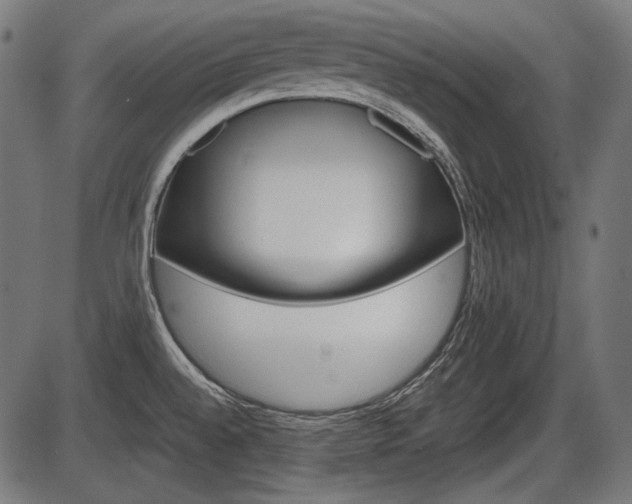 X0000087541528200704270911
