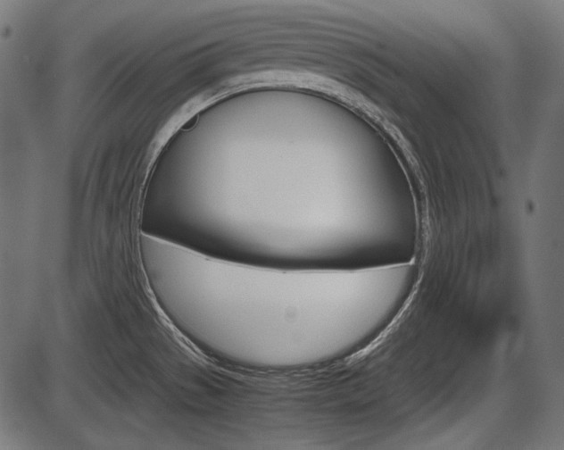 X0000087541529200704270911