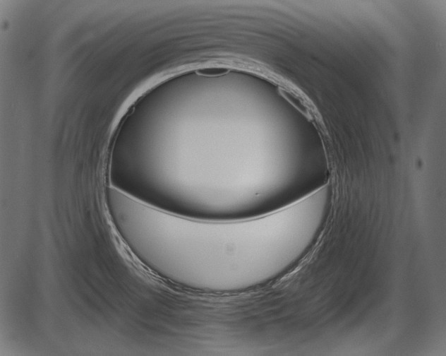 X0000087541530200704270911
