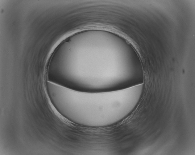 X0000087541531200704270911