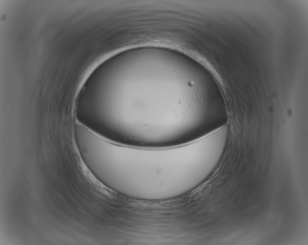 X0000087541532200704270911