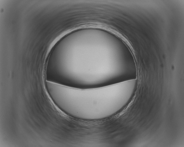 X0000087541533200704270911