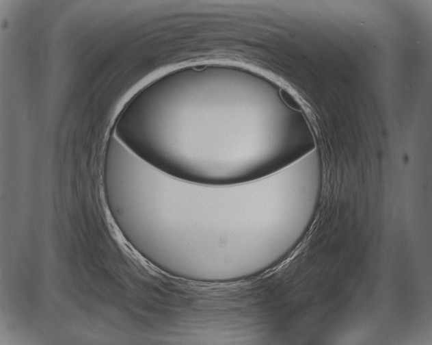 X0000087541534200704270911