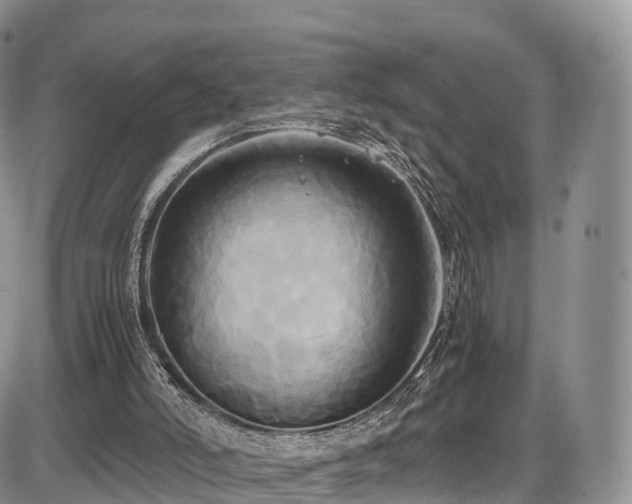 X0000087540006200704271244