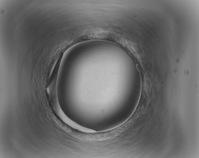 X0000087540017200704271243