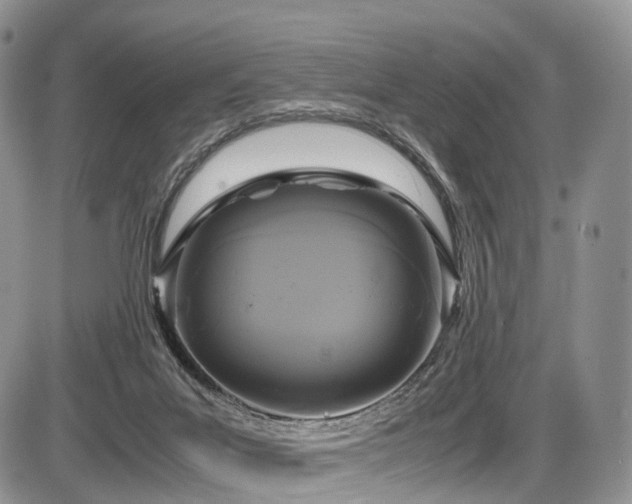 X0000087540023200704271243