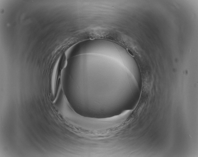 X0000087540027200704271243