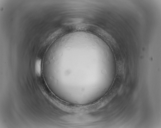 X0000087540028200704271243
