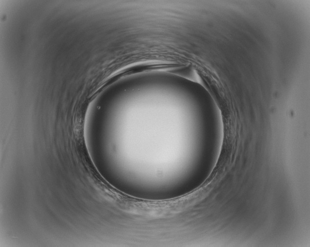 X0000087540033200704271243