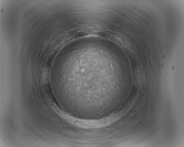 X0000087540034200704271243