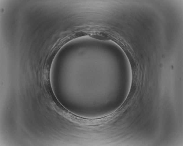 X0000087540035200704271243
