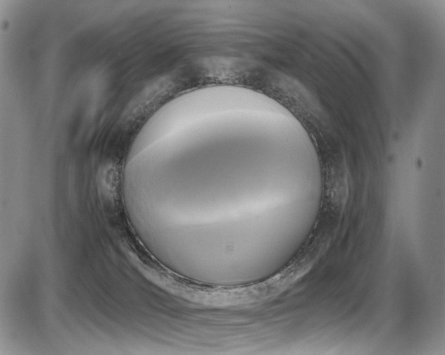 X0000087540036200704271243