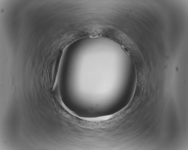 X0000087540037200704271243