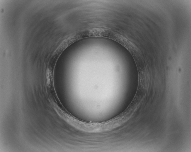 X0000087540038200704271243