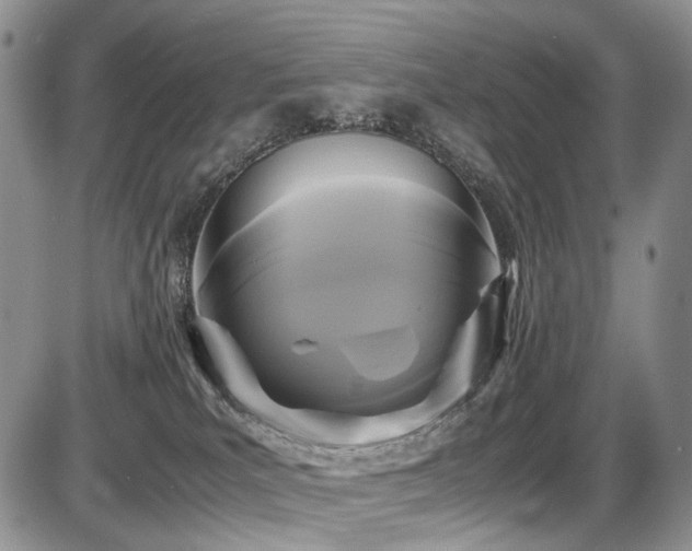 X0000087540039200704271243
