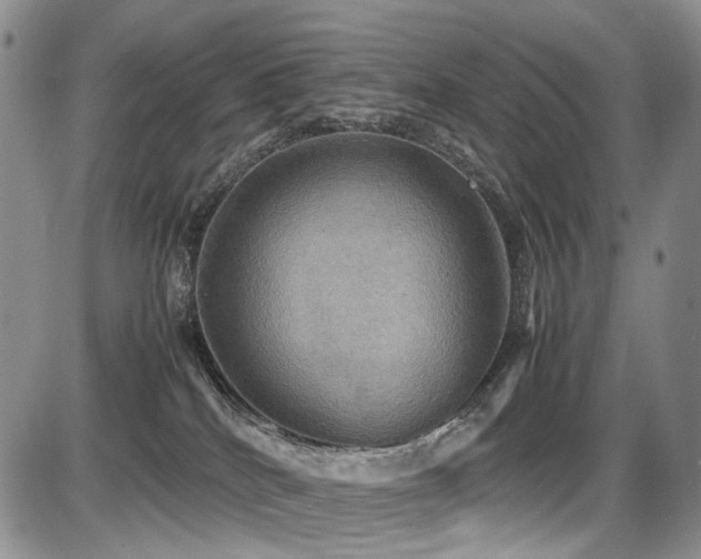 X0000087540040200704271243