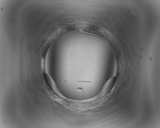 X0000087540041200704271243