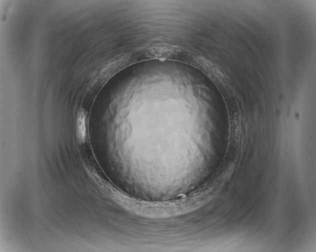 X0000087540042200704271243