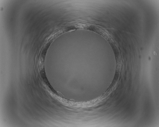 X0000087540043200704271243