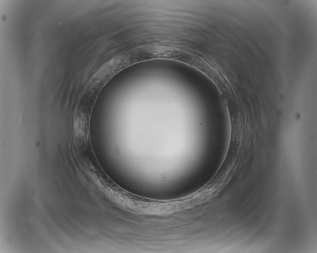 X0000087540044200704271243