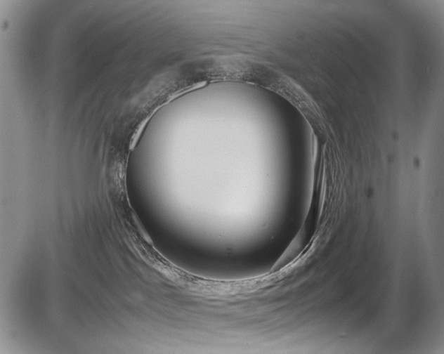 X0000087540045200704271243