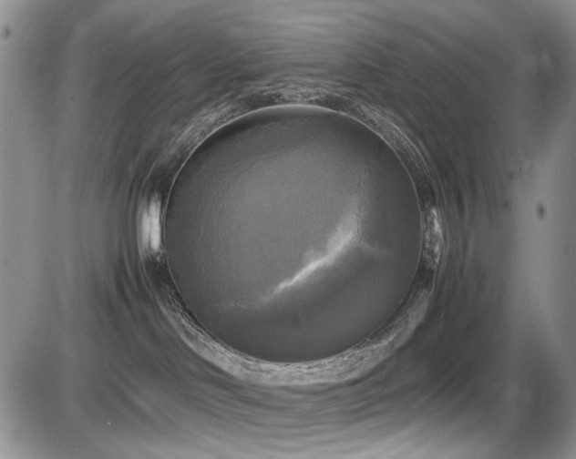 X0000087540046200704271243