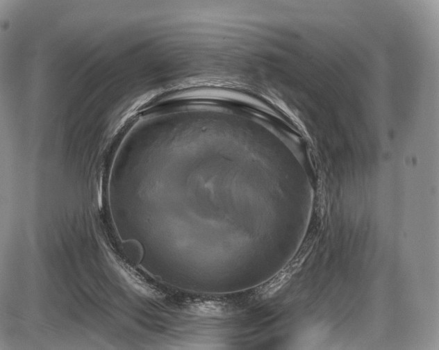 X0000087540062200704271242