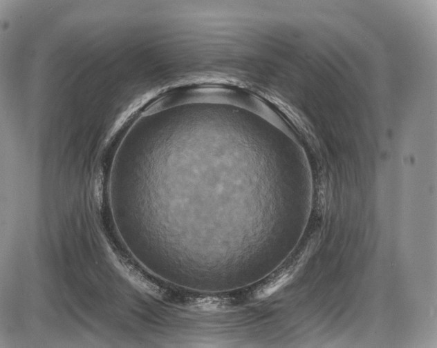 X0000087540064200704271242