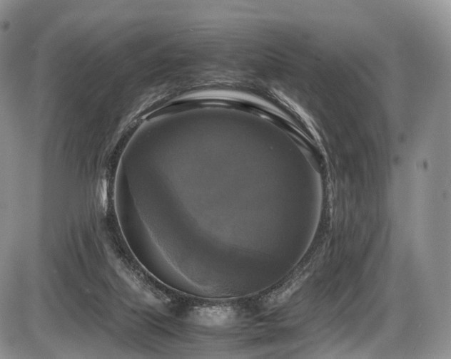 X0000087540067200704271242