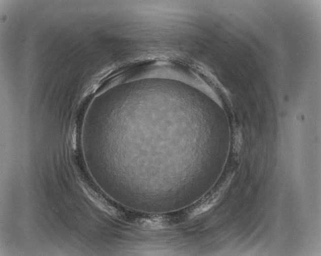 X0000087540068200704271242