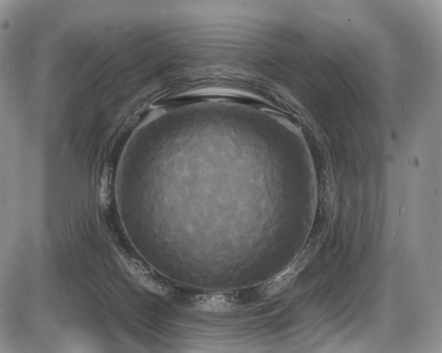 X0000087540074200704271242