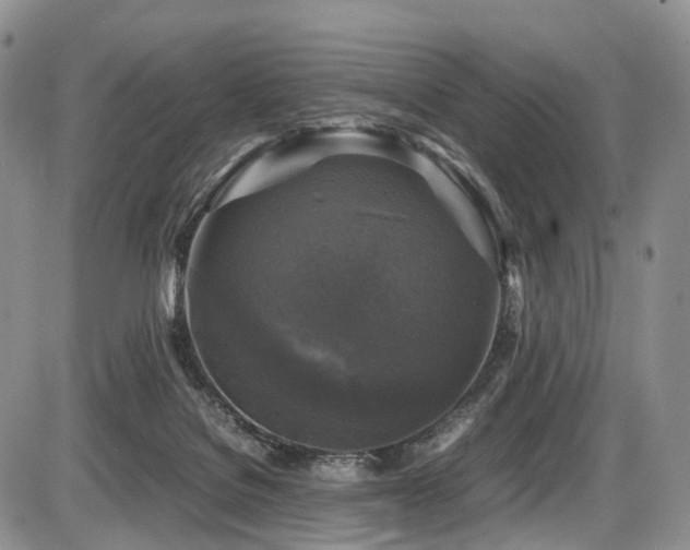 X0000087540076200704271243