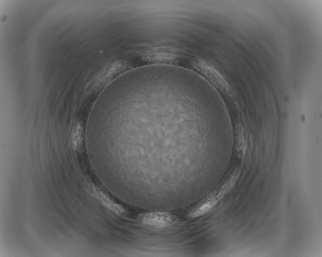 X0000087540077200704271243