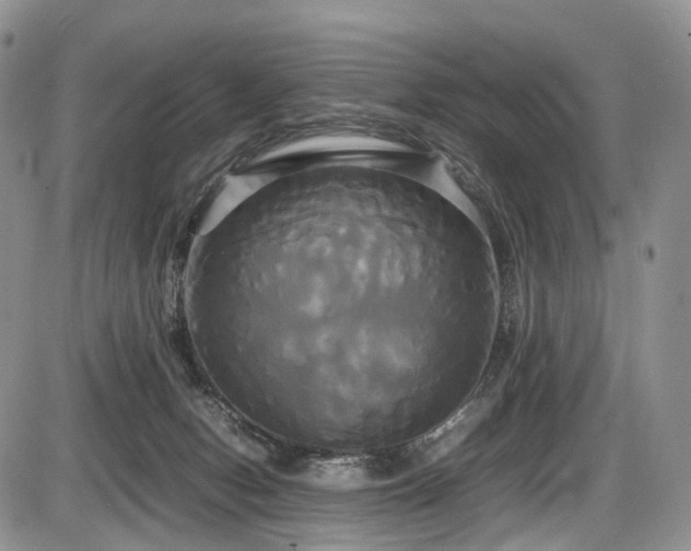 X0000087540078200704271243