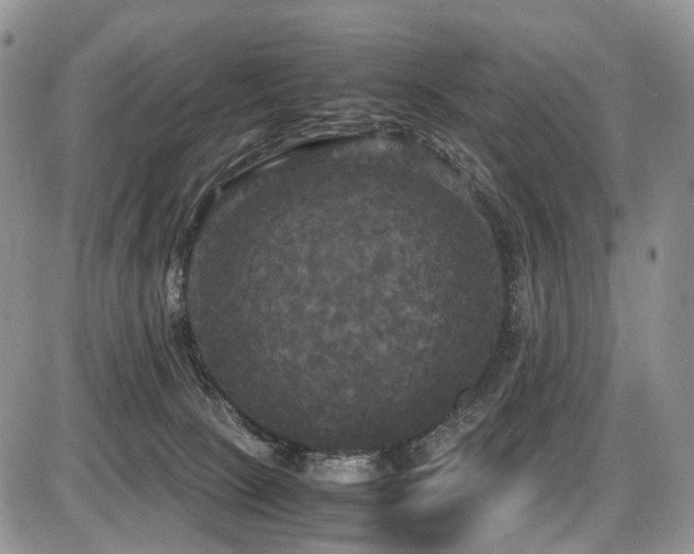X0000087540081200704271243