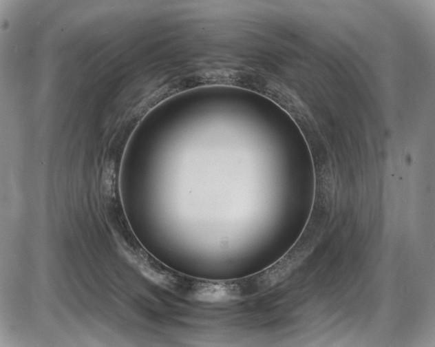 X0000087540083200704271243