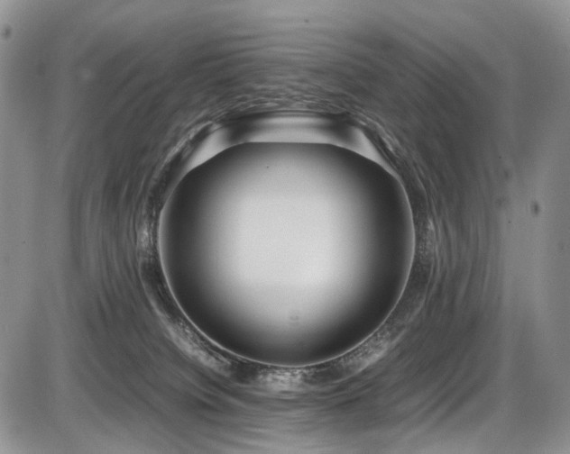 X0000087540084200704271243